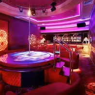 Split Strip Bar - photo 14