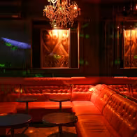 Mint Nosorog - photo 11