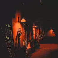 Paradise Strip Club - photo 7