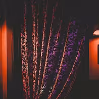 Paradise Strip Club - photo 8