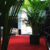 Bristol Gardens Health Spa - photo 6