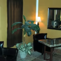 Tabu Adult Massage - photo 3