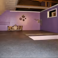Xtasia - photo 7