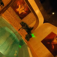 Chameleons Club - photo 5