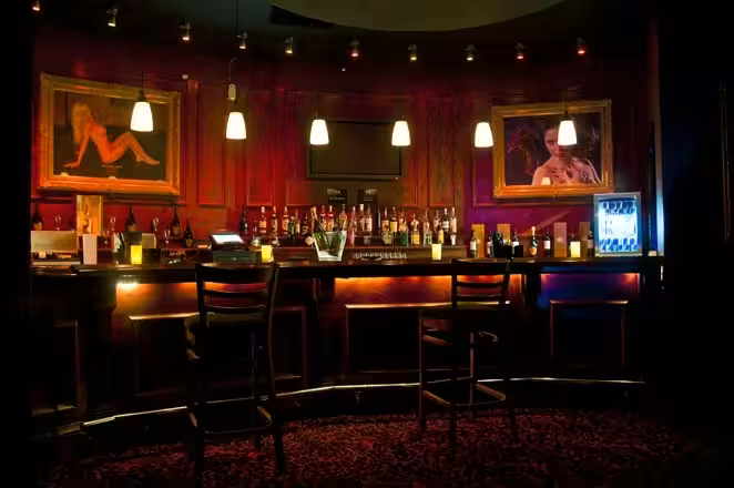 Platinum Lace Bar & Gentelmen`s Club - Brighton
