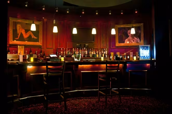 Platinum Lace Bar & Gentelmen`s Club - Brighton - photo 1