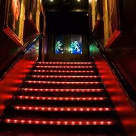 Platinum Lace Bar & Gentelmen`s Club - Brighton - photo 9