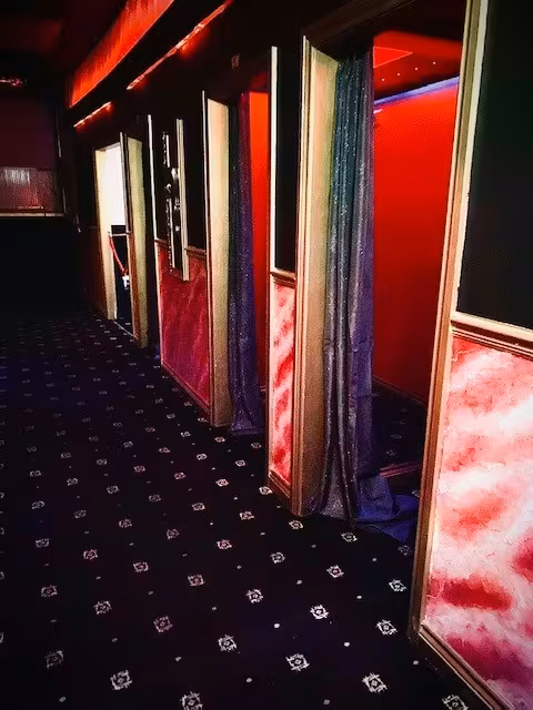 Red Shadow Ltd - photo 1