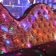 The Roxy Showgirls - photo 10