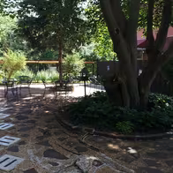Shameless Grounds - photo 6