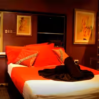 Black Cat Sydney Brothel - photo 4