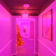 Desires Parlour/18 - photo 2