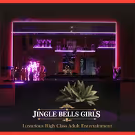 Jingle Bells Girls - Western Sydney Brothel - photo 10