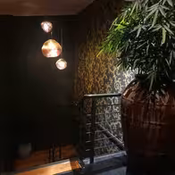 The Nightshade Establishment - photo 7