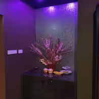 Xotic 751 - photo 5