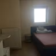 144 Laufhaus - photo 2