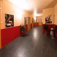 Love - Haus - photo 4
