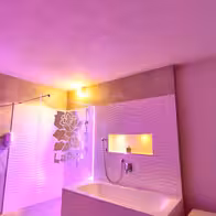 La Rose Etablissement - photo 18