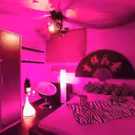 Pink Palace Hamburg - photo 4