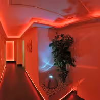 Luderbox - Bodenseestrasse 271 - photo 7