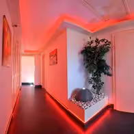 Luderbox - Bodenseestrasse 271 - photo 16