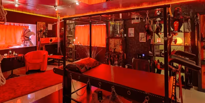 Domina Studio Revolution - photo 1