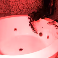 My Eroscenter Dresden - photo 3