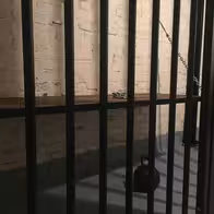 Institut Malbert Bdsm Fetisch Domina Studio - photo 17