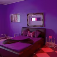 No 24 - photo 5