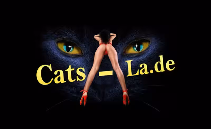 Cats-La - photo 1