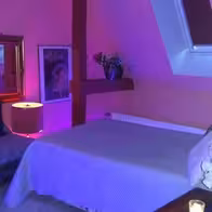 Haus-Exotica - photo 2