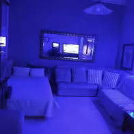 Haus-Exotica - photo 7