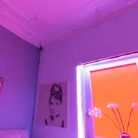Haus-Exotica - photo 8