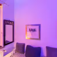 Haus-Exotica - photo 10