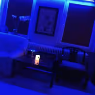 Haus-Exotica - photo 11