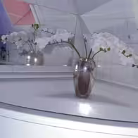 Haus-Exotica - photo 13