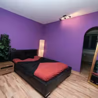 Erotikhaus Astoria Pforzheim - photo 11