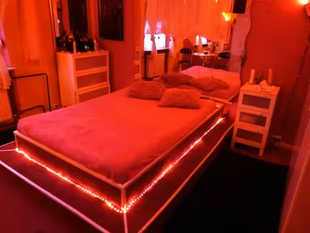 Blue Velvet Haus 9