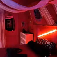 Blue Velvet Haus 9 - photo 4