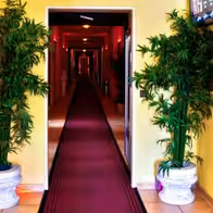 House 24 - photo 3