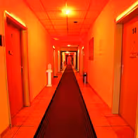 House 24 - photo 5