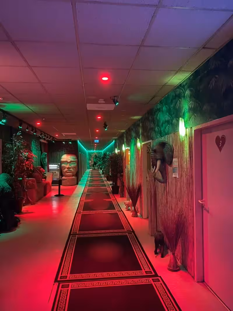 Eroscenter Crazy Jungle - photo 1