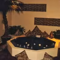 Eroscenter Crazy Jungle - photo 5