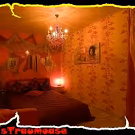 Lena S Traumoase - photo 4