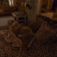 Diane's Secret - photo 2