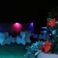 Mansion Babylon Marbella - photo 6
