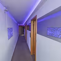 Wild Secrets Hotel - photo 8