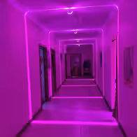 Pink House - photo 7