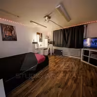 Sex Studio Bordell Arsenal 51 - photo 22