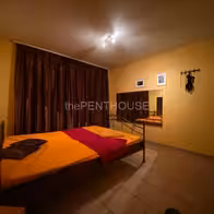 Thepenthouse - photo 23